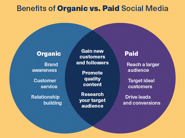 Balancing Organic and Paid Social Media Efforts