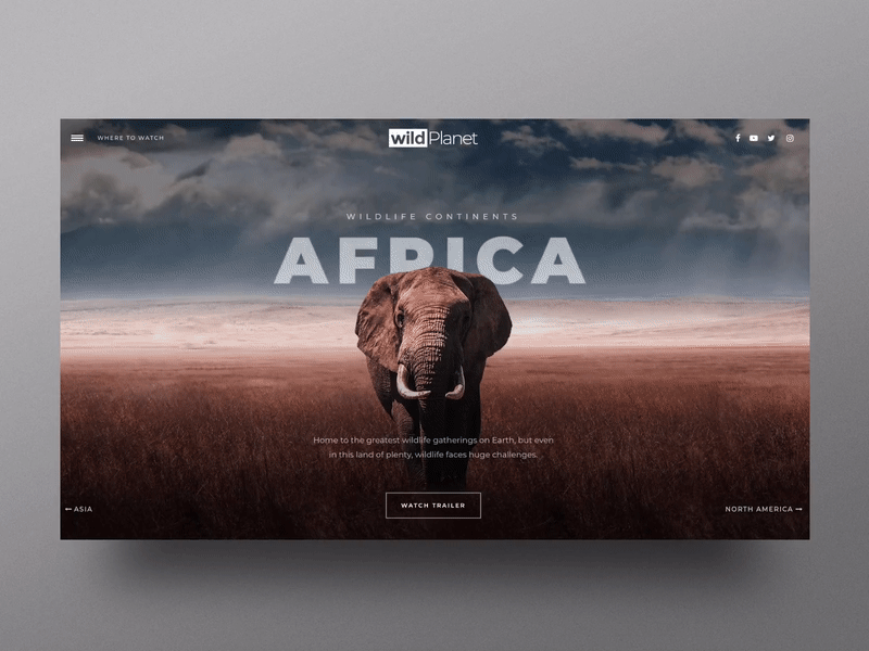 Website 3D and Immersive Experiences