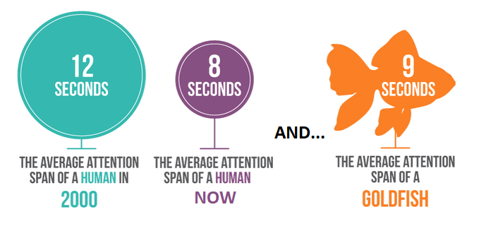 Shrinking Attention Spans and Social Overload